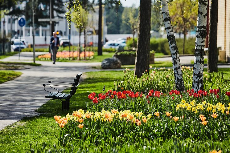 Haninge Tulpanfestival 2018