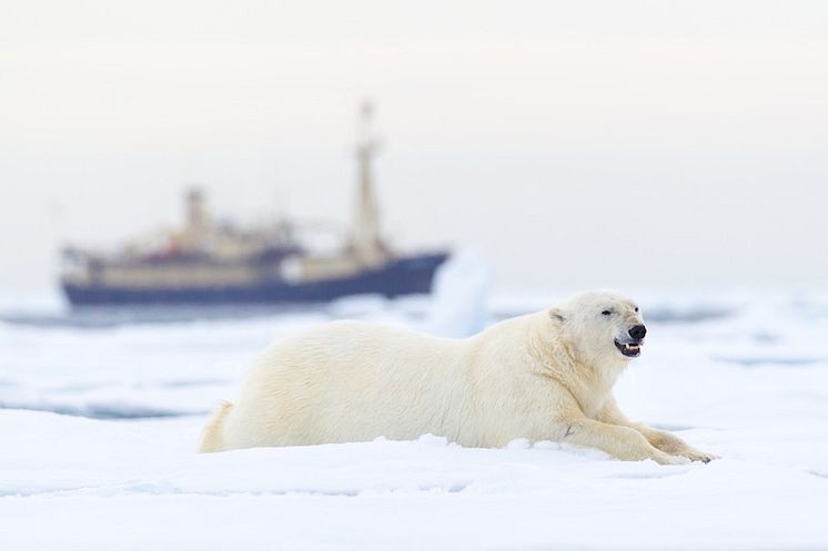 Marint expertmöte i Malmö: Klimatförändringar och skräp utmaningar för havsmiljön i Arktis 