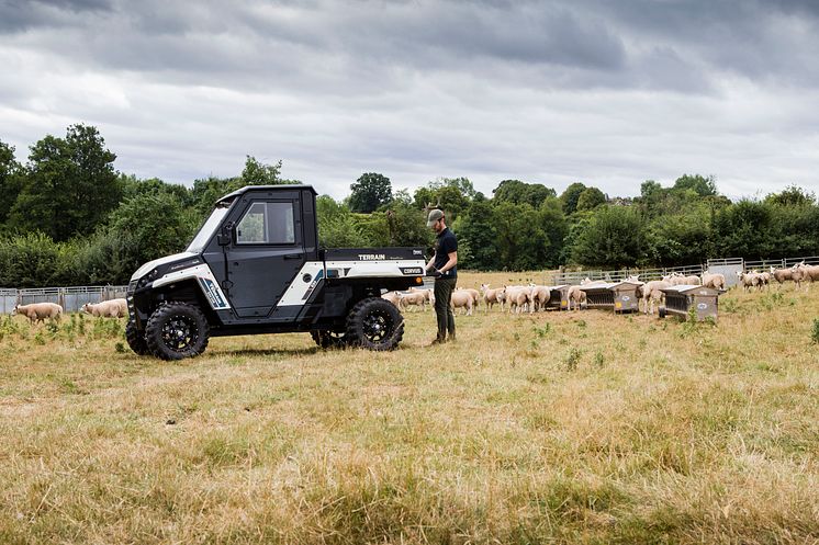 Terrain EX4 (15)