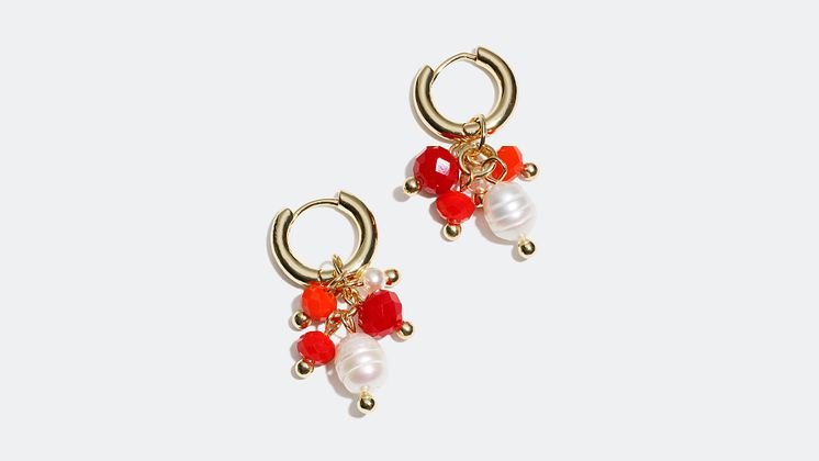 Earrings - 129 kr