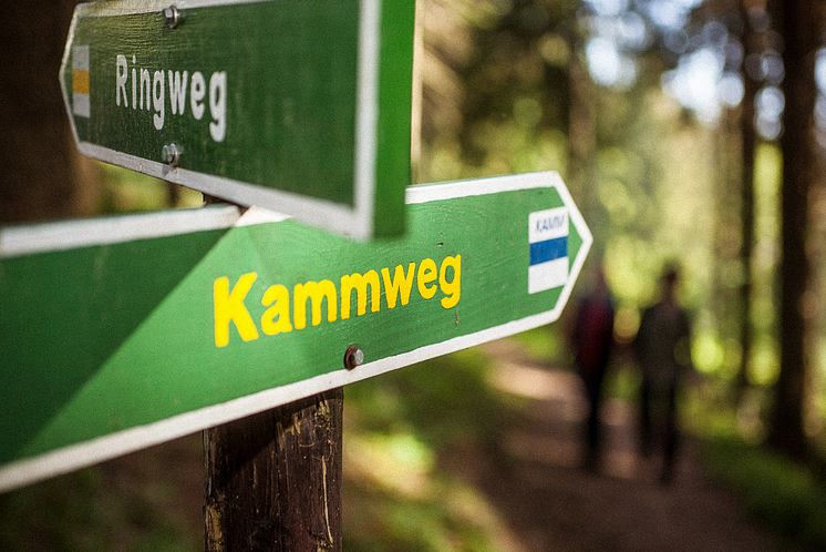 Kammweg Erzgebirge Vogtland_Wegweiser_Foto TVE_Rene Gaens 