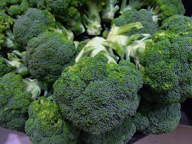 Anders Rosengren forskar om broccoli och dess positiva fördelar