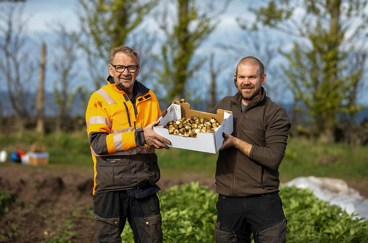 Årets svenska frilandsodlade färskpotatis är här!