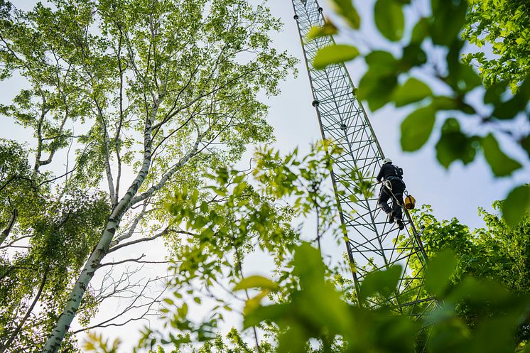 Telenor mast og tekniker