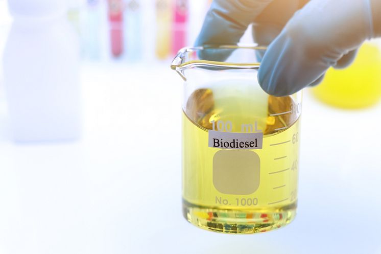 Biodiesel_stor