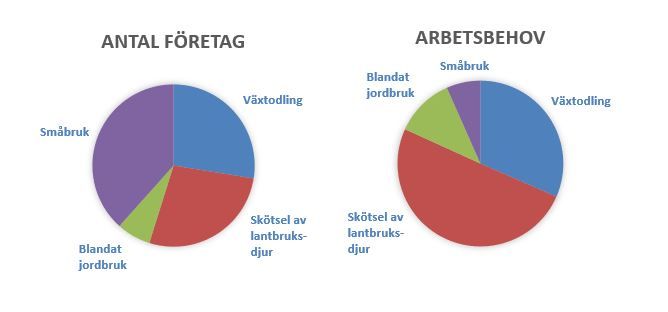 Diagram antal företag samt arbetsbehov