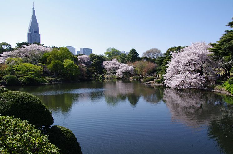 tokyo-4.jpg