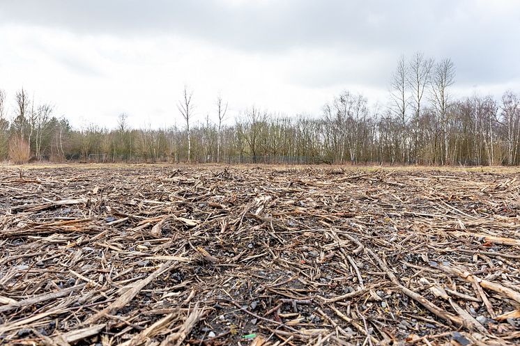 HeimatERBE Kompensationsfläche Kurl 3 in Lünen_©Florian Kochinke