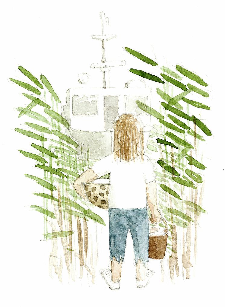 En av Per Johansons akvareller från ”ABC för barn och pensionärer”