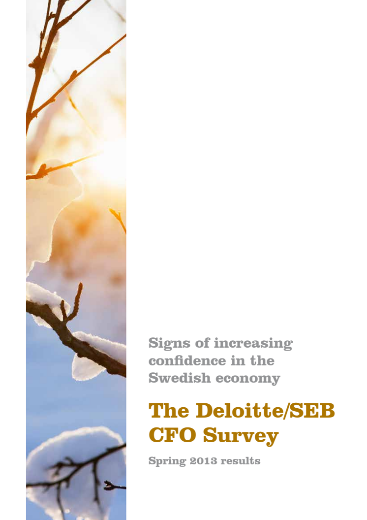 The Deloitte/SEB CFO Survey - Spring 2013