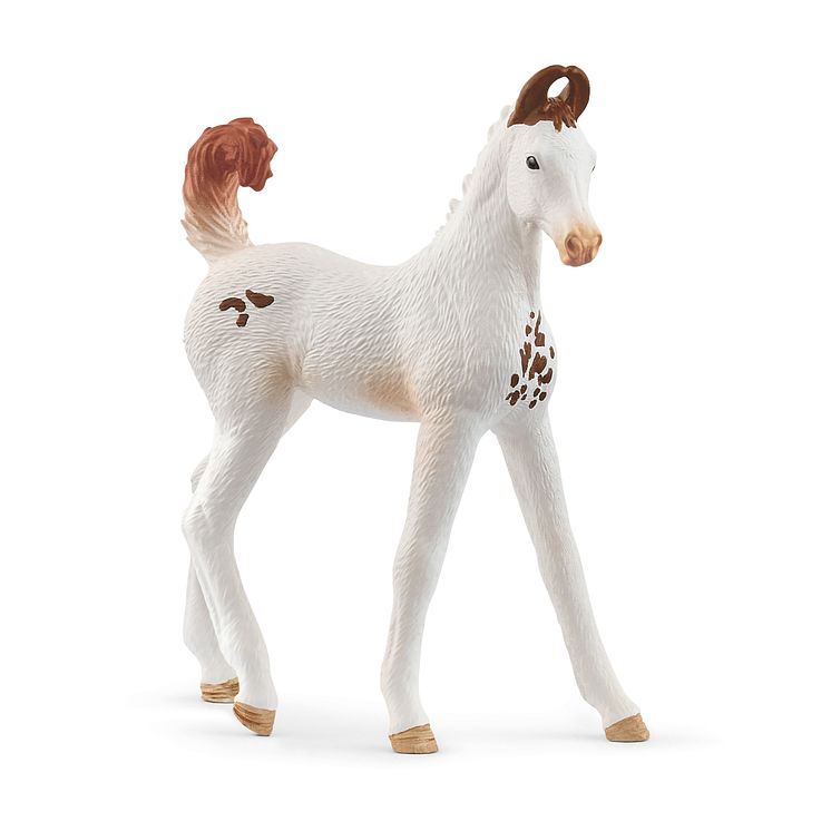 14896_Horse Club_Marwari Foal_(c)schleich®
