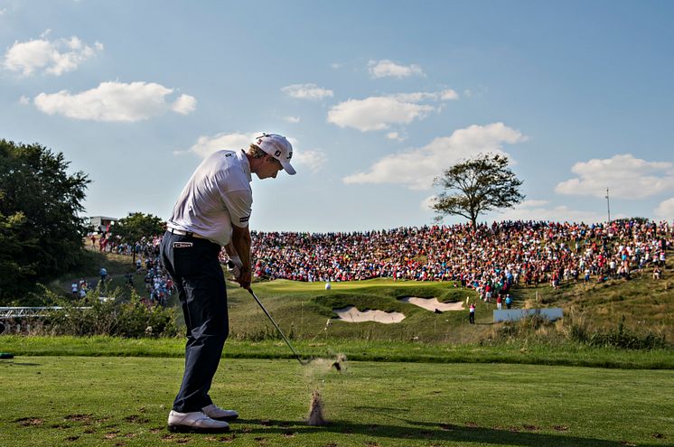 Himmerland Hill hul 16 med Stamtræet