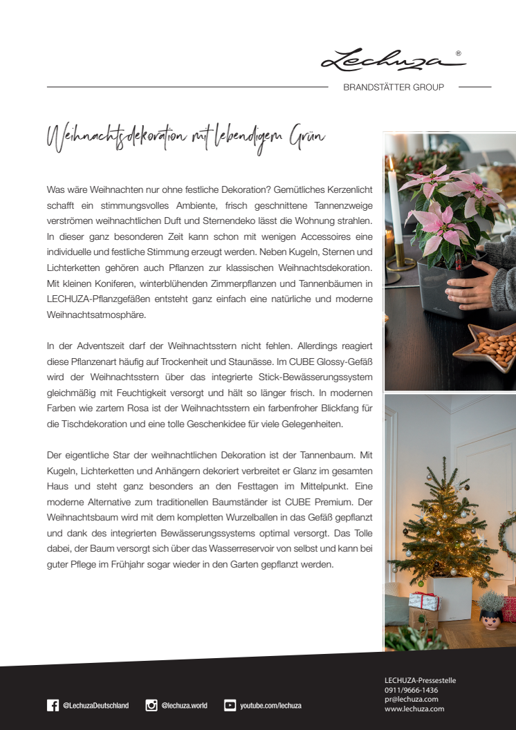 Weihnachtsdekoration mit lebendigem Grün