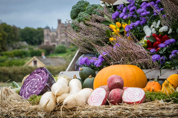 Skördefest på Tjolöholms Slott