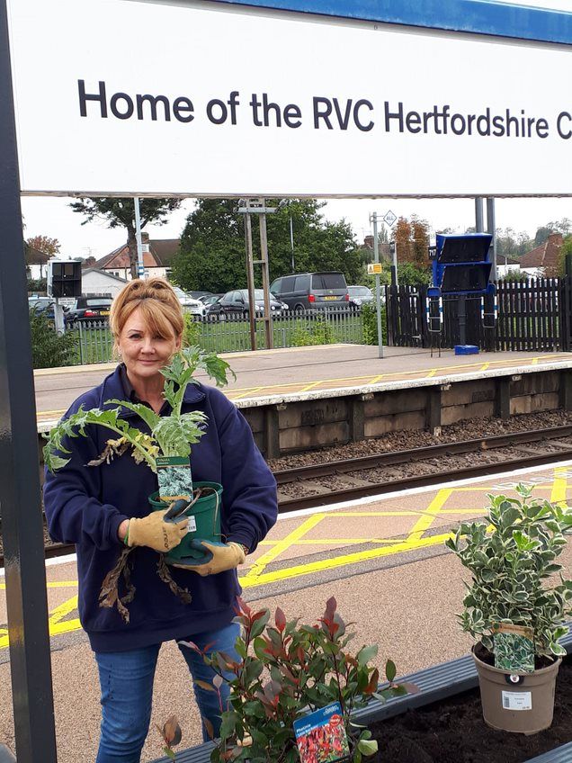 Potters Bar station planting