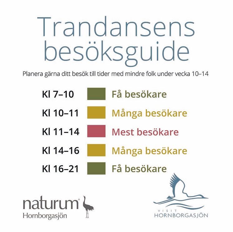 Trandansens besöksguide