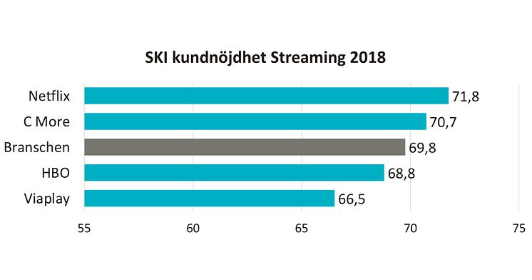 SKI kundnöjdhet Streaming 2018