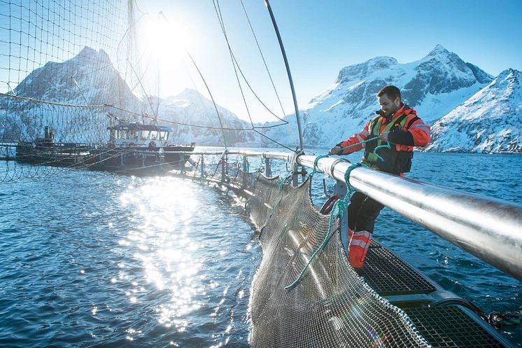 Aquakultur_Norwegen