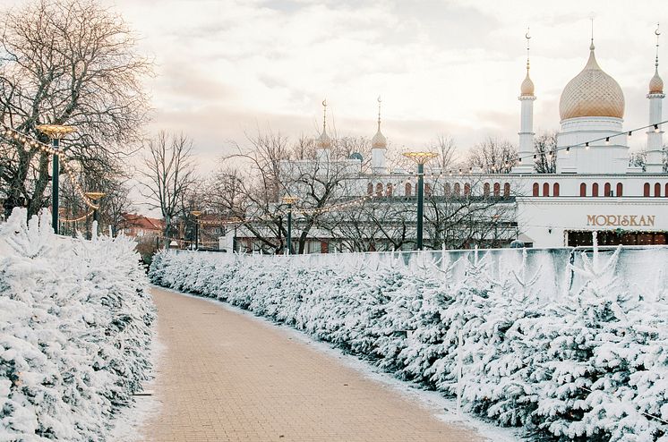 Vinterdröm i Folkets Park