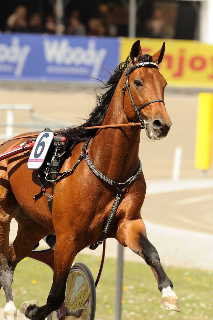 Going Kronos i flygande trav