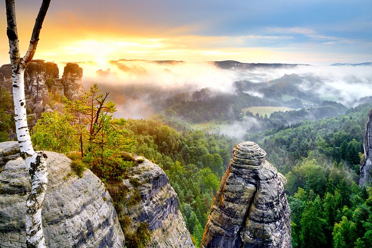 Sächsische Schweiz-Osterzgebirge_Sächsische_Schweiz_Der_Nationalpark_Osterzgebirge_bei_Sonnenaufgang