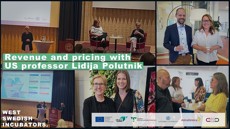 Session with US professor Lidija Polutnik collage