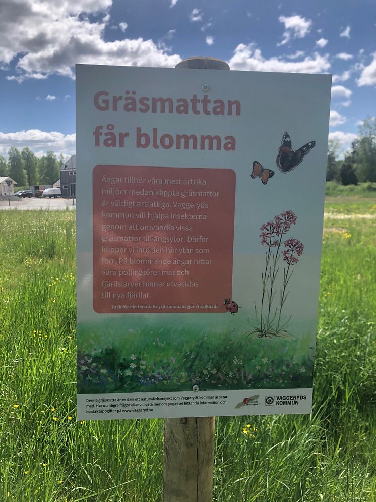 Gräsmattan får blomma