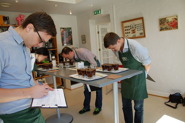 Barista-verdensmester Tim Wendelboe er av deltakerne som gjennomgår ”Q-grader”-sertifisering - en internasjonal og vel anerkjent tittel blant de som jobber med kvalitetskaffe.