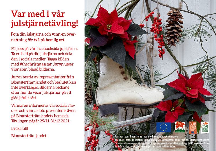 Tävling #thechristmasstar