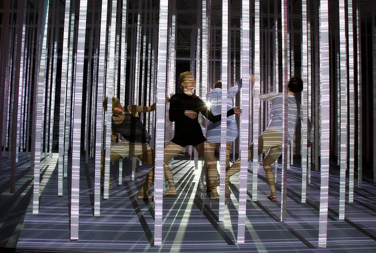 Cristina Caprioli, TRÄD (2010).