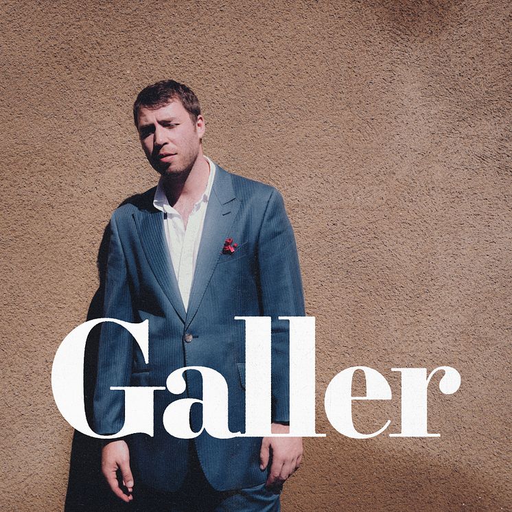 Omslag - Arvid Nero "Galler"