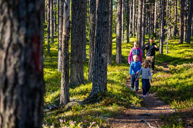 Lättillgänglig vandring