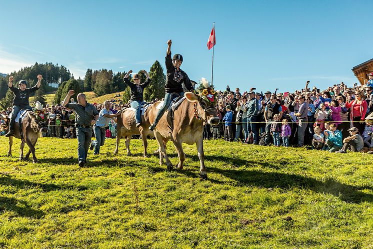 Kuhrennen_Flumserberg(c)SchweizTourismus_JanGeerk