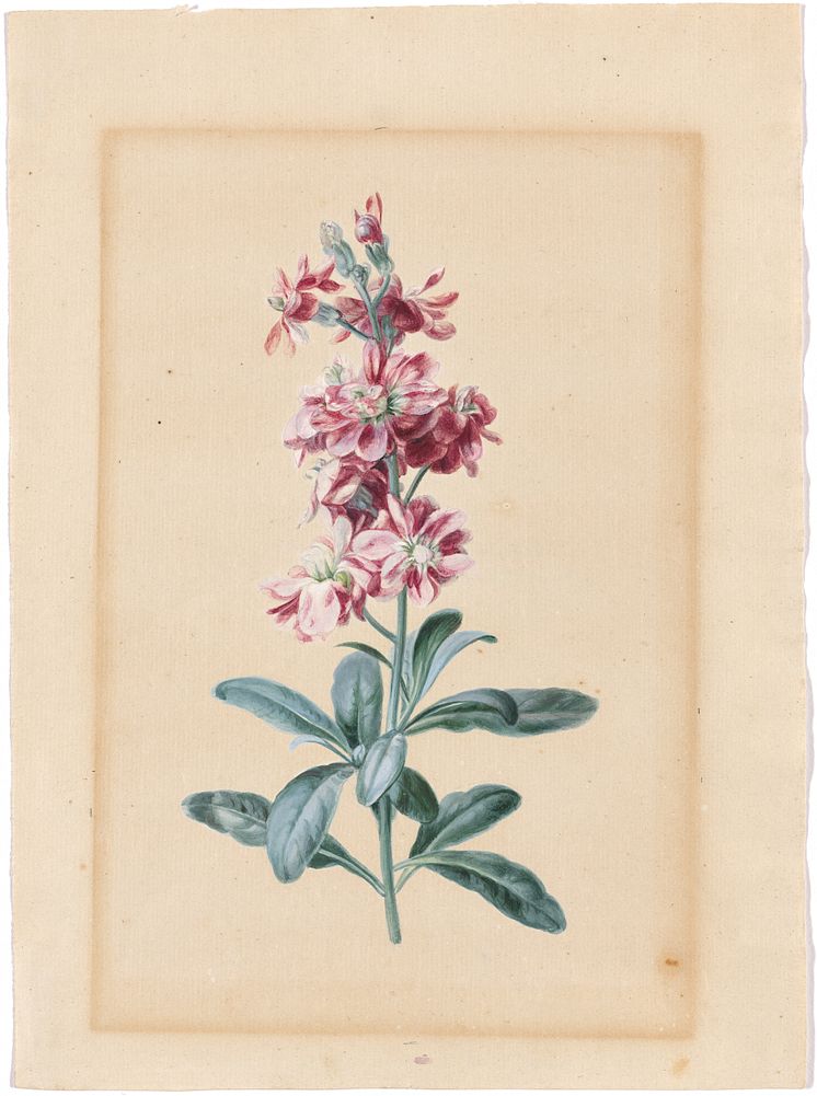 Caroline Friederike Friedrich, Fransk smelle, 1806