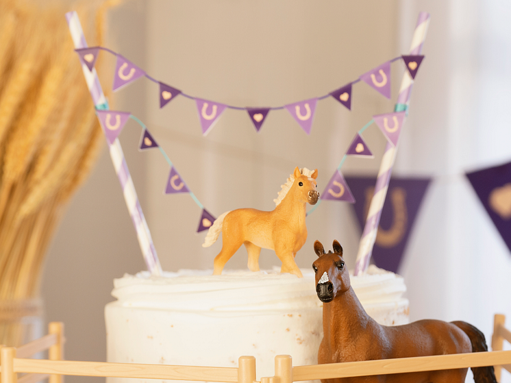 Kindergeburtstag_Horse Club_Mini Girlande