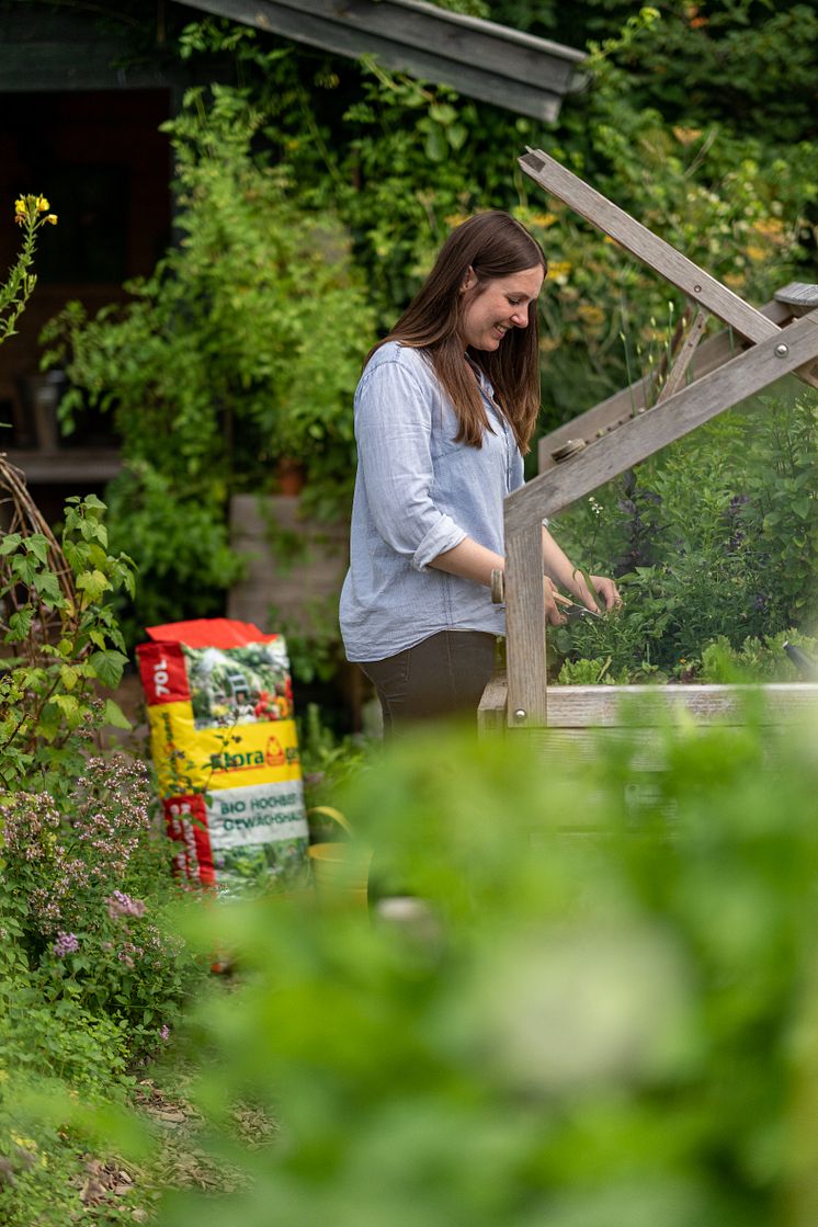 Floragard Bio Hochbeet- und Gewächshauserde_Gartenambiente