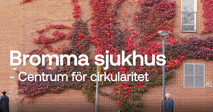 Skärmklipp.PNG