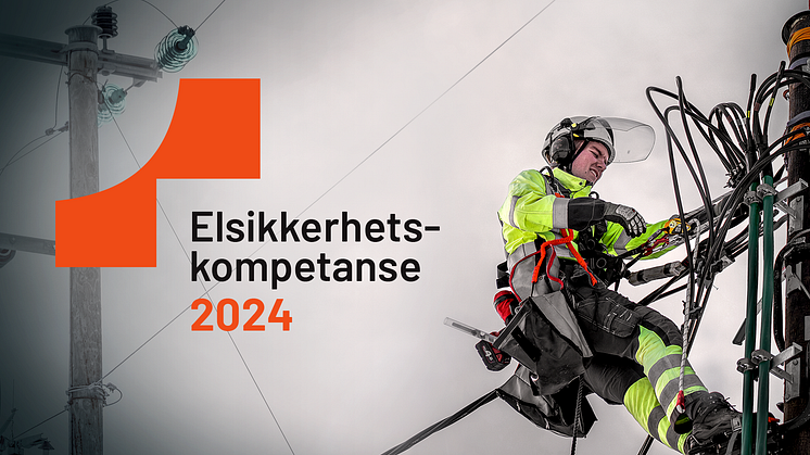 Elsikkerhetskompetanse 2024P