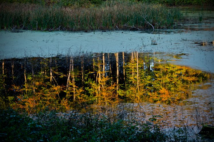 Svanninge Bjerge, Åkande Sø