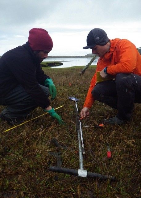 Researchers examining a sediment core