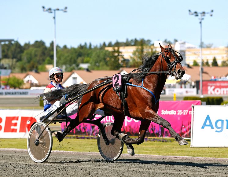 Cokstile är klar för Elitloppet 2020