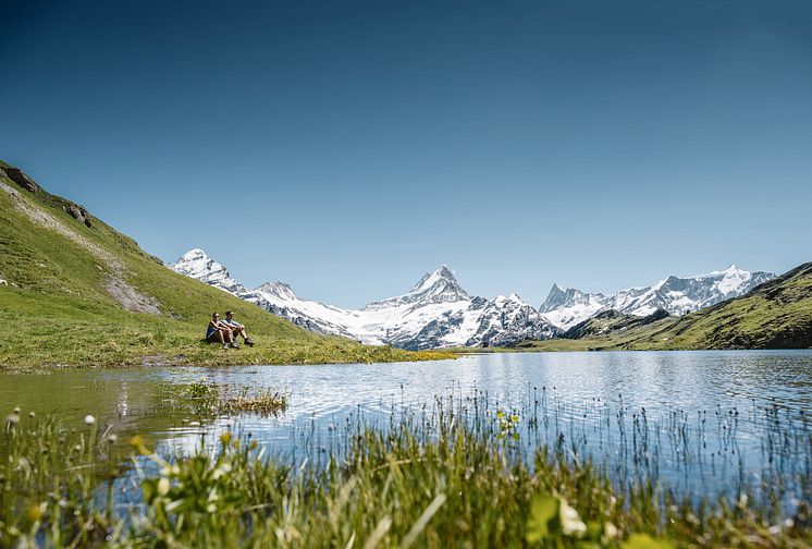 Grindelwald 