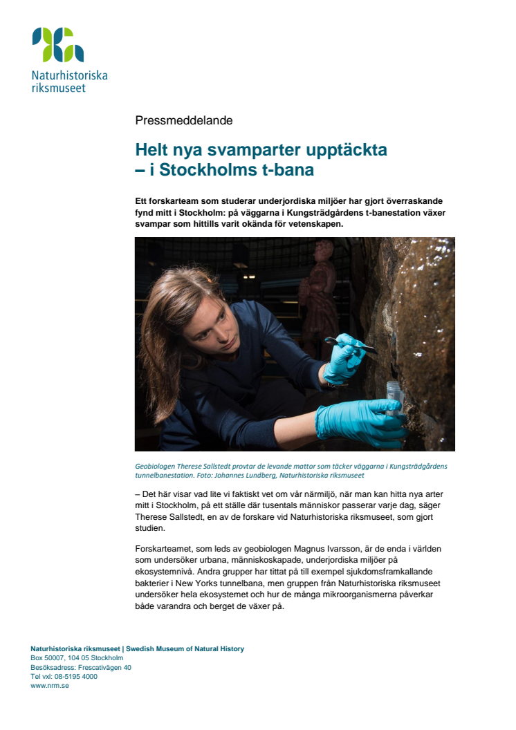 Helt nya svamparter upptäckta – i Stockholms t-bana