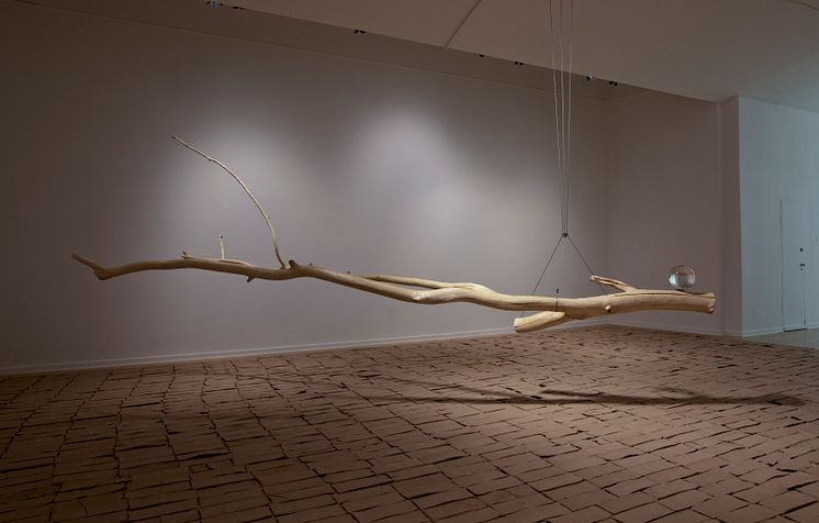 Katja Pettersson, installationsvy med verken Jord, 2017 samt Nature/Culture, 2020 