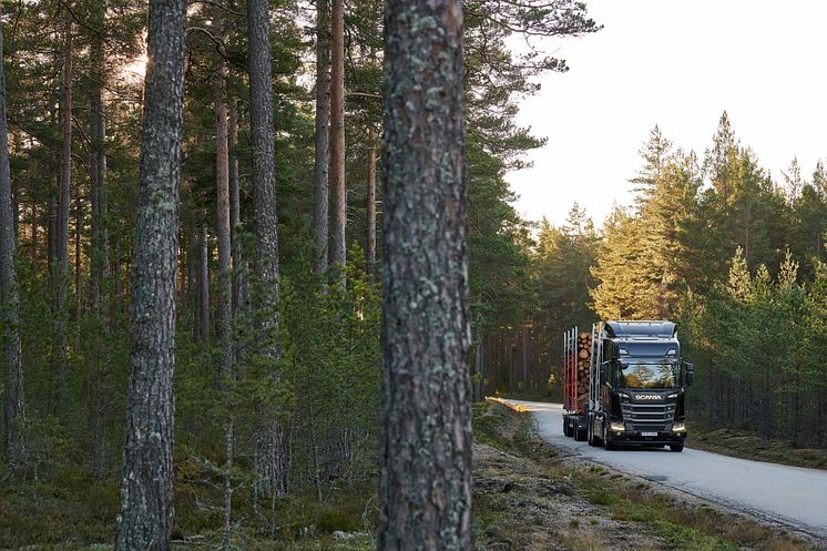 Scania 770hv metsässä