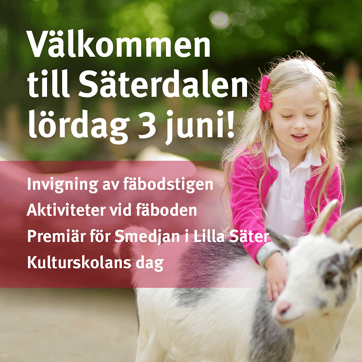 Välkommen-till-Säterdalen-4