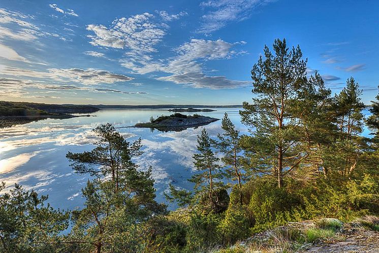 Utställning med Kungsbacka fotoklubb