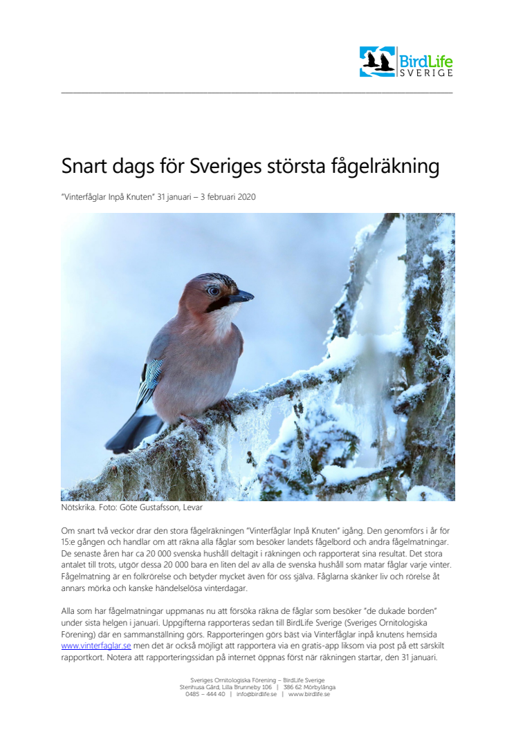 Snart dags för Sveriges största fågelräkning