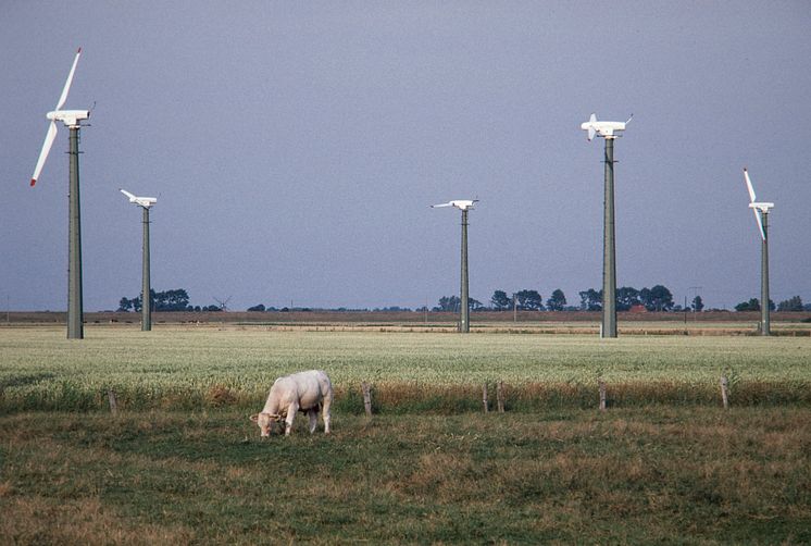 Die Anfänge der Windkraft (1)