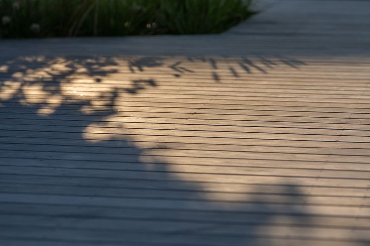  Schwimmen und Schwärmen im Badepark Berenbostel